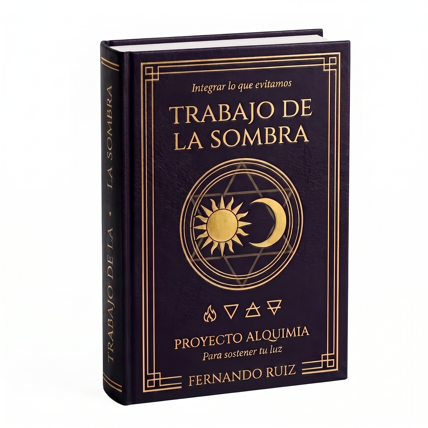 El Trabajo de la Sombra